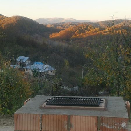 Cabanuta Fara Fite Villa Provita de Jos Bagian luar foto