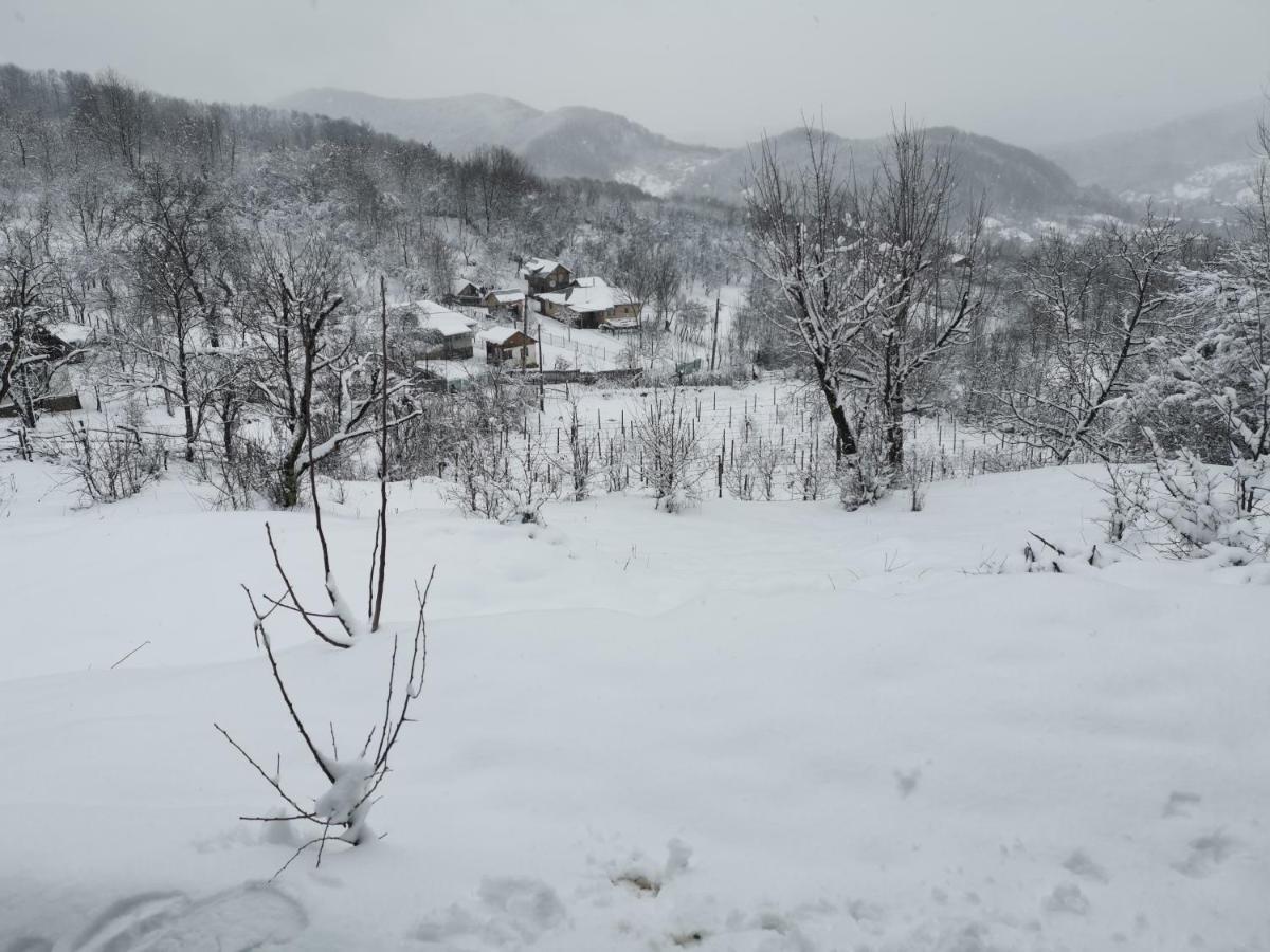 Cabanuta Fara Fite Villa Provita de Jos Bagian luar foto