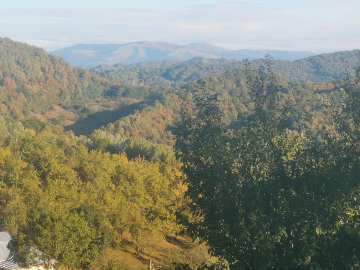 Cabanuta Fara Fite Villa Provita de Jos Bagian luar foto