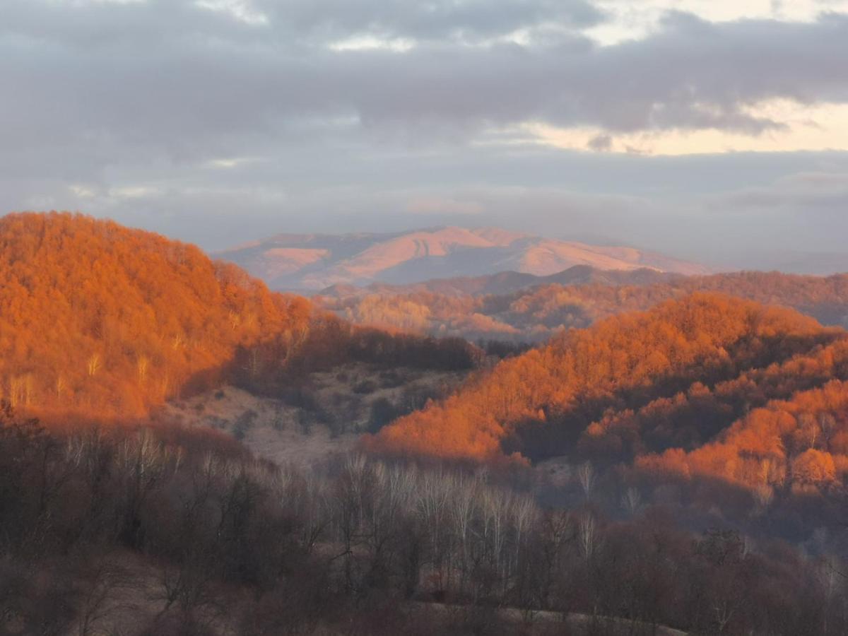 Cabanuta Fara Fite Villa Provita de Jos Bagian luar foto