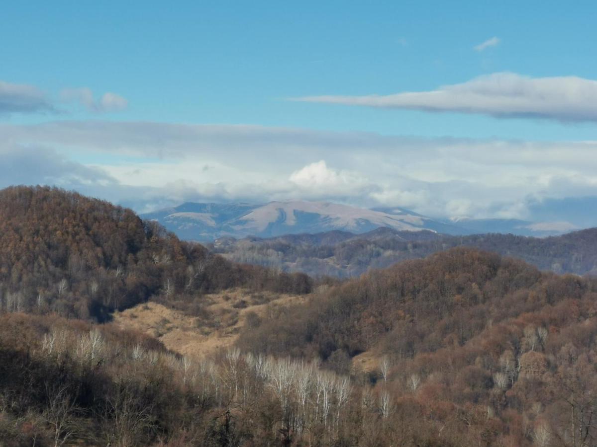 Cabanuta Fara Fite Villa Provita de Jos Bagian luar foto