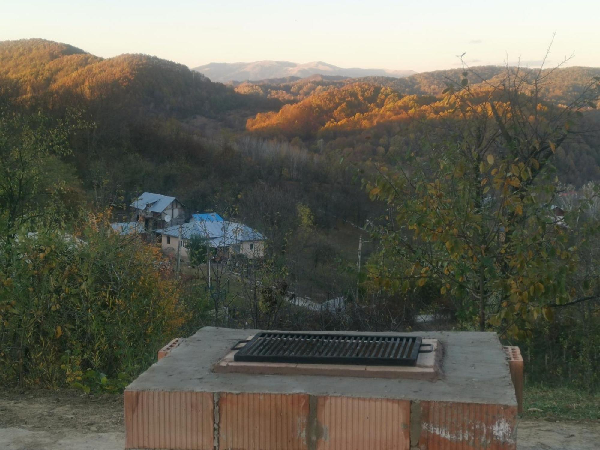 Cabanuta Fara Fite Villa Provita de Jos Bagian luar foto