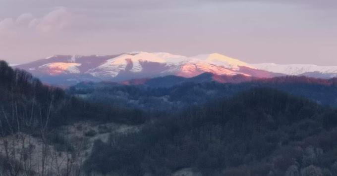Cabanuta Fara Fite Villa Provita de Jos Bagian luar foto